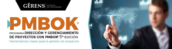 proyectos pmbok direccion y gerenciamiento