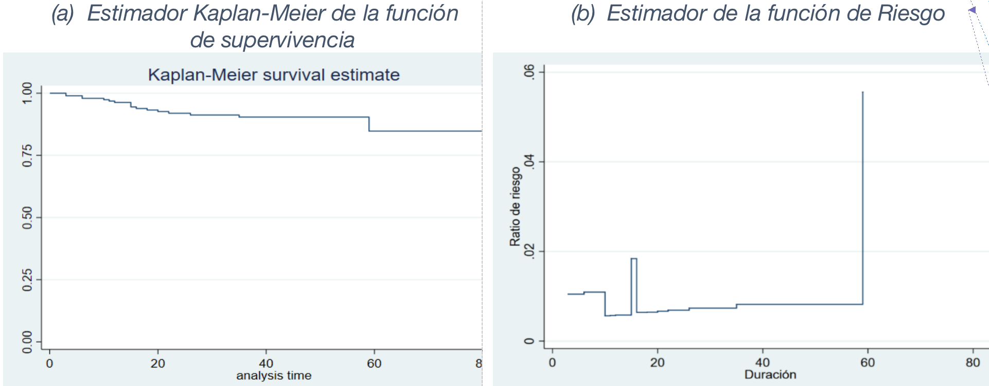 Conflictos Sociales