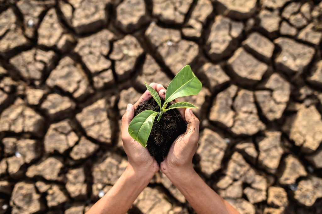 Cambio Climático